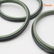 Mechanical Rod Seal for Pivoting Motors